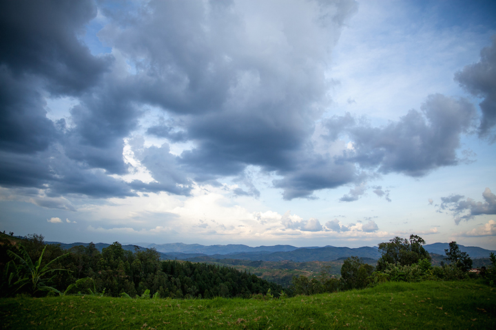 Rwanda - Nikole Lim Part 2 Landscape